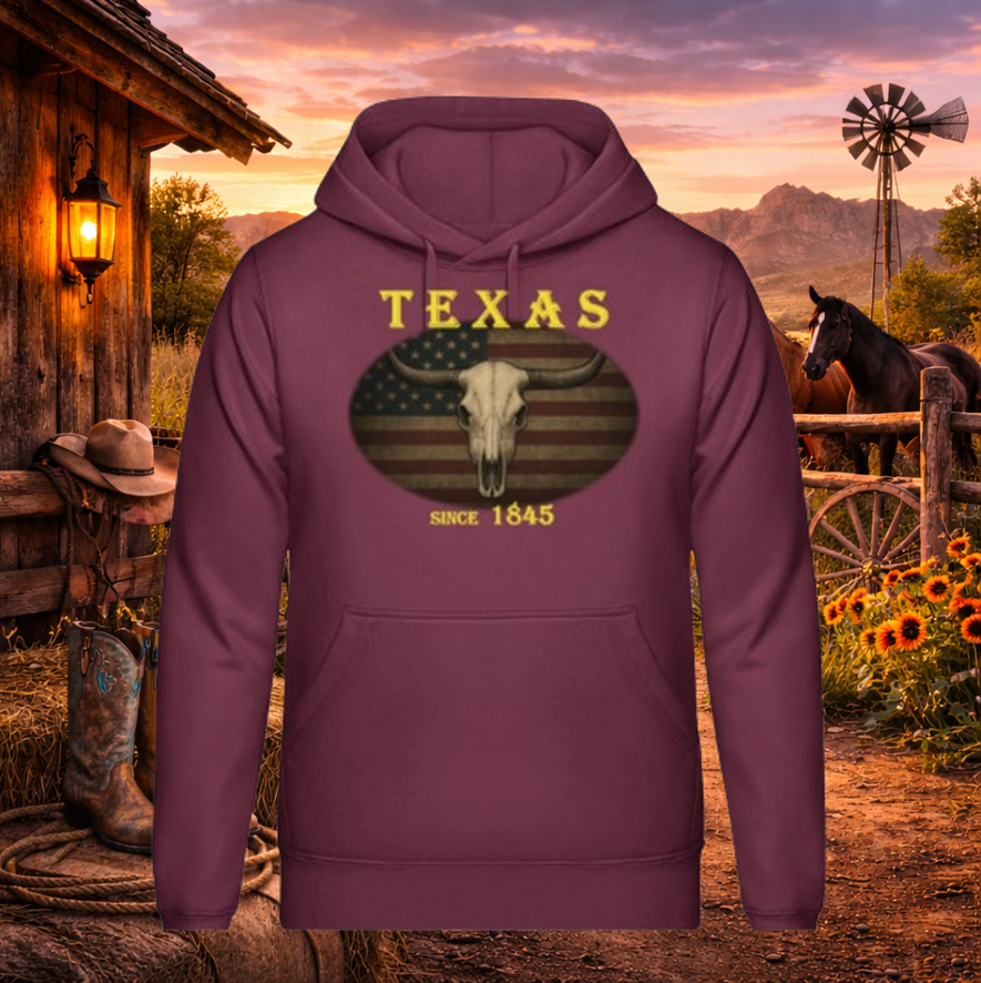 Hoodie "Texas"